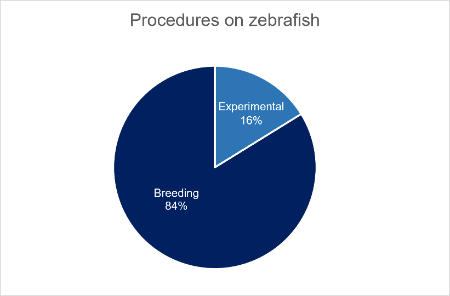 A pie chart displaying zebrafish breeding data